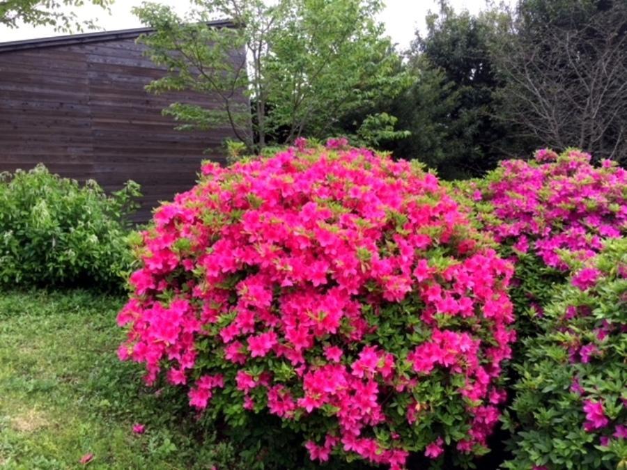 Satsuki Bessou Otel Tamana Dış mekan fotoğraf